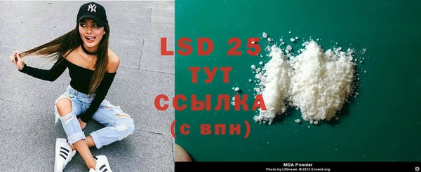 прущие грибы Володарск
