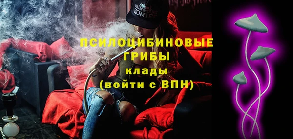 индика Вязники