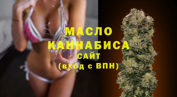 индика Вязники